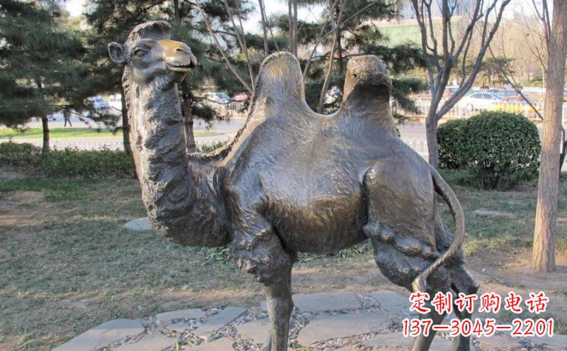 赣州铜骆驼雕塑——浓缩自然美丽