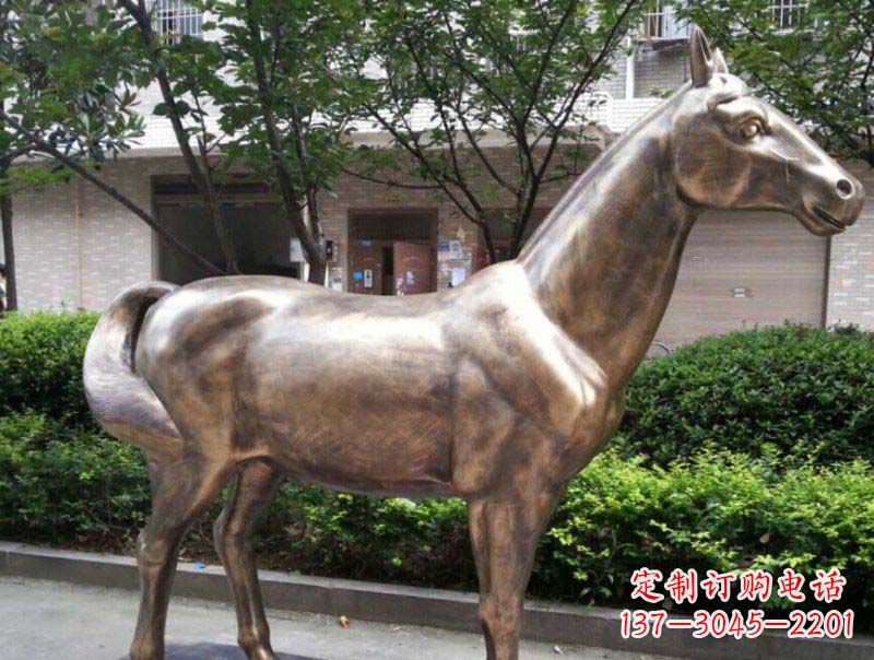 赣州公园马动物铜雕 (3)