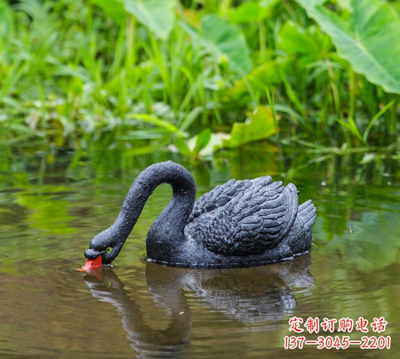 赣州黑天鹅雕塑，水塘装饰摆件