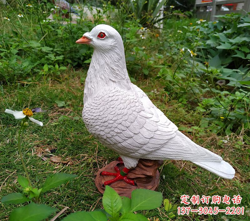 赣州为和平献芳礼：精美少女与和平鸽雕塑