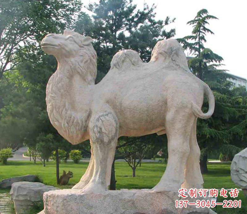 赣州石头骆驼雕塑